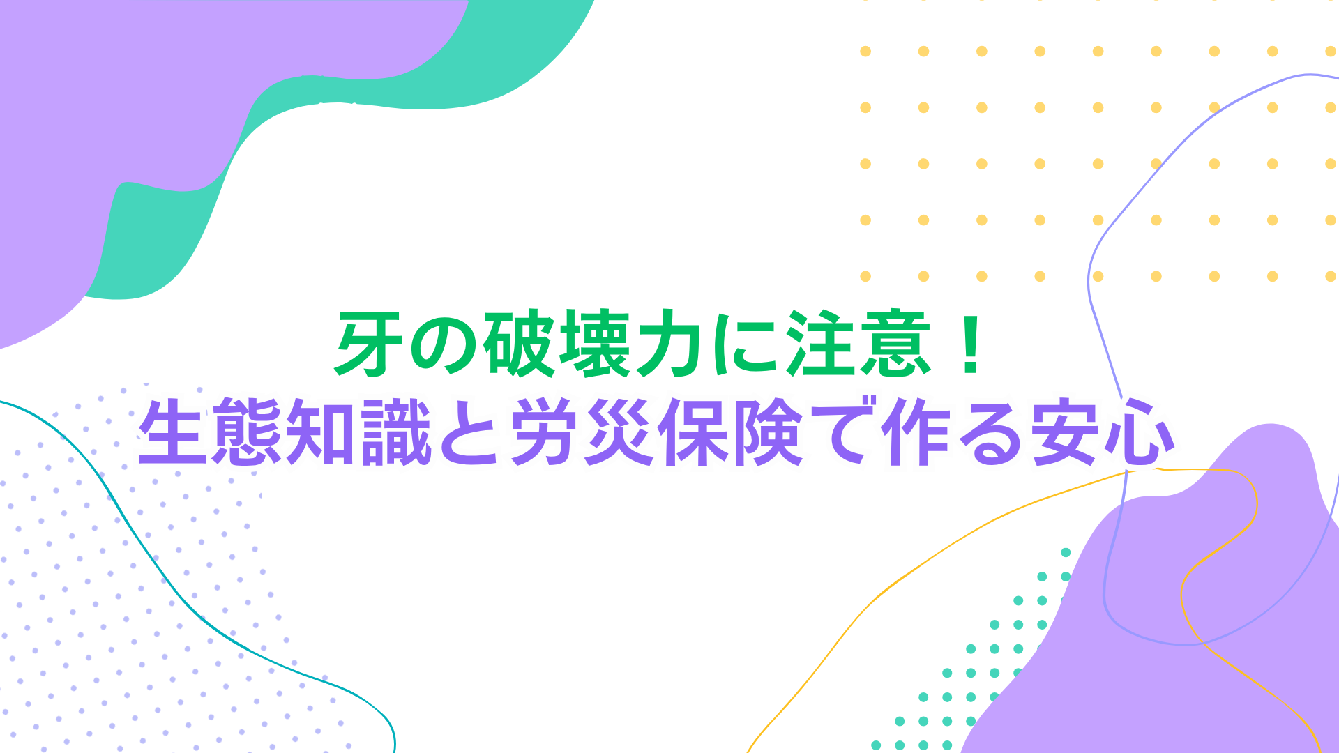 牙の破壊力に注意！生体知識と労災保険でつくる安心 | フリーランス 